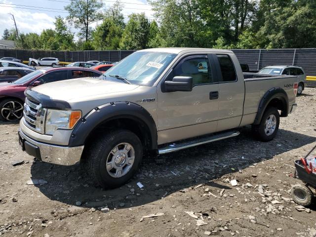 2010 Ford F-150 