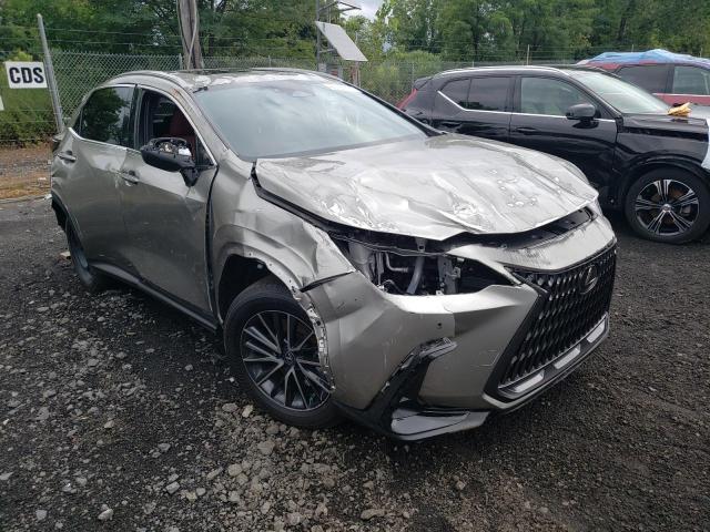 2024 LEXUS NX 250 PRE 2T2GDCAZ1RC006633