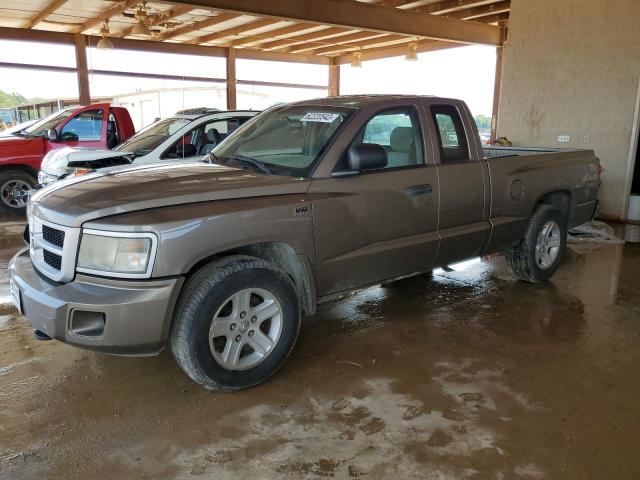 2010 Dodge Dakota 