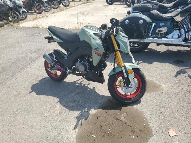 2023 KAWASAKI MOTORCYCLE - JKABRRJ15PDA27589