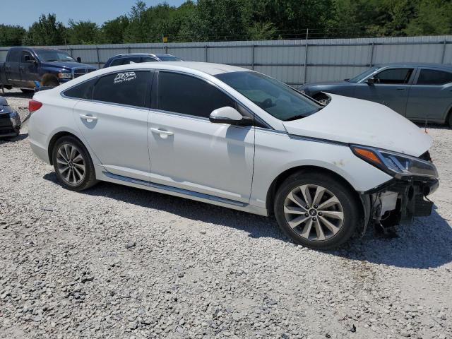 2017 HYUNDAI SONATA SPO - 5NPE34AFXHH467979