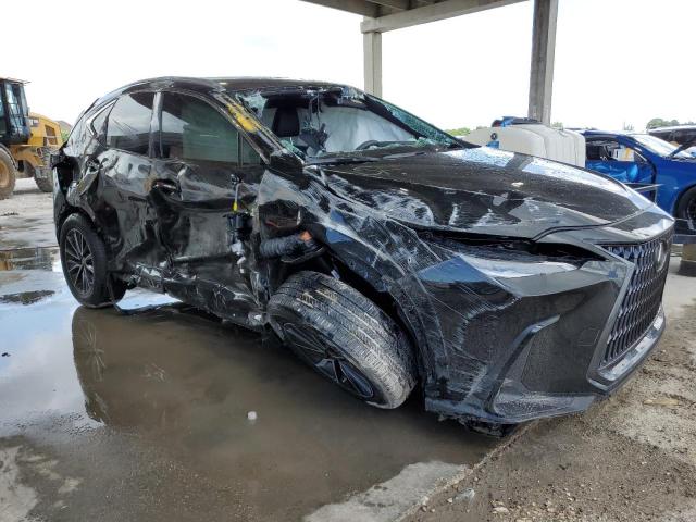 2023 LEXUS NX 250 2T2ADCAZ6PC005299