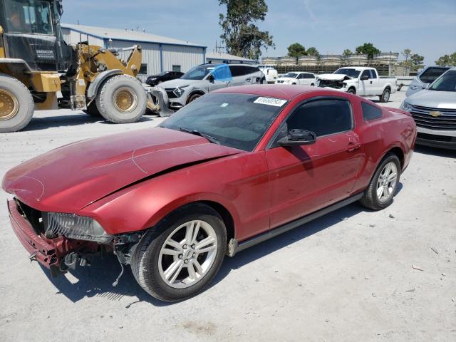 2010 Ford Mustang 