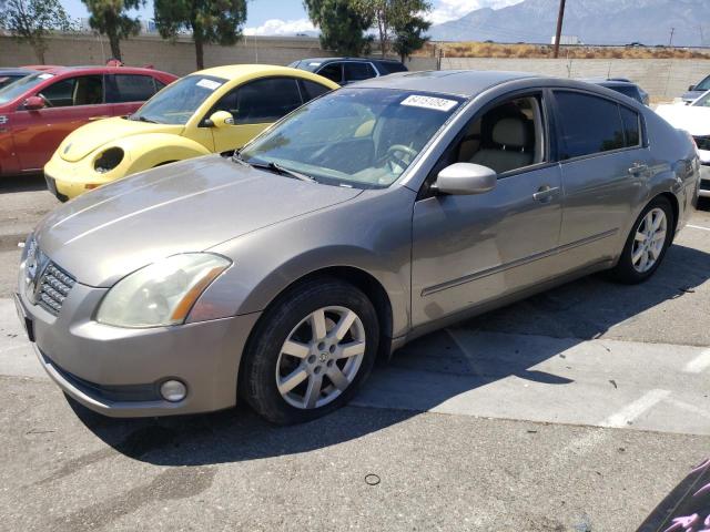 2004 Nissan Maxima SE