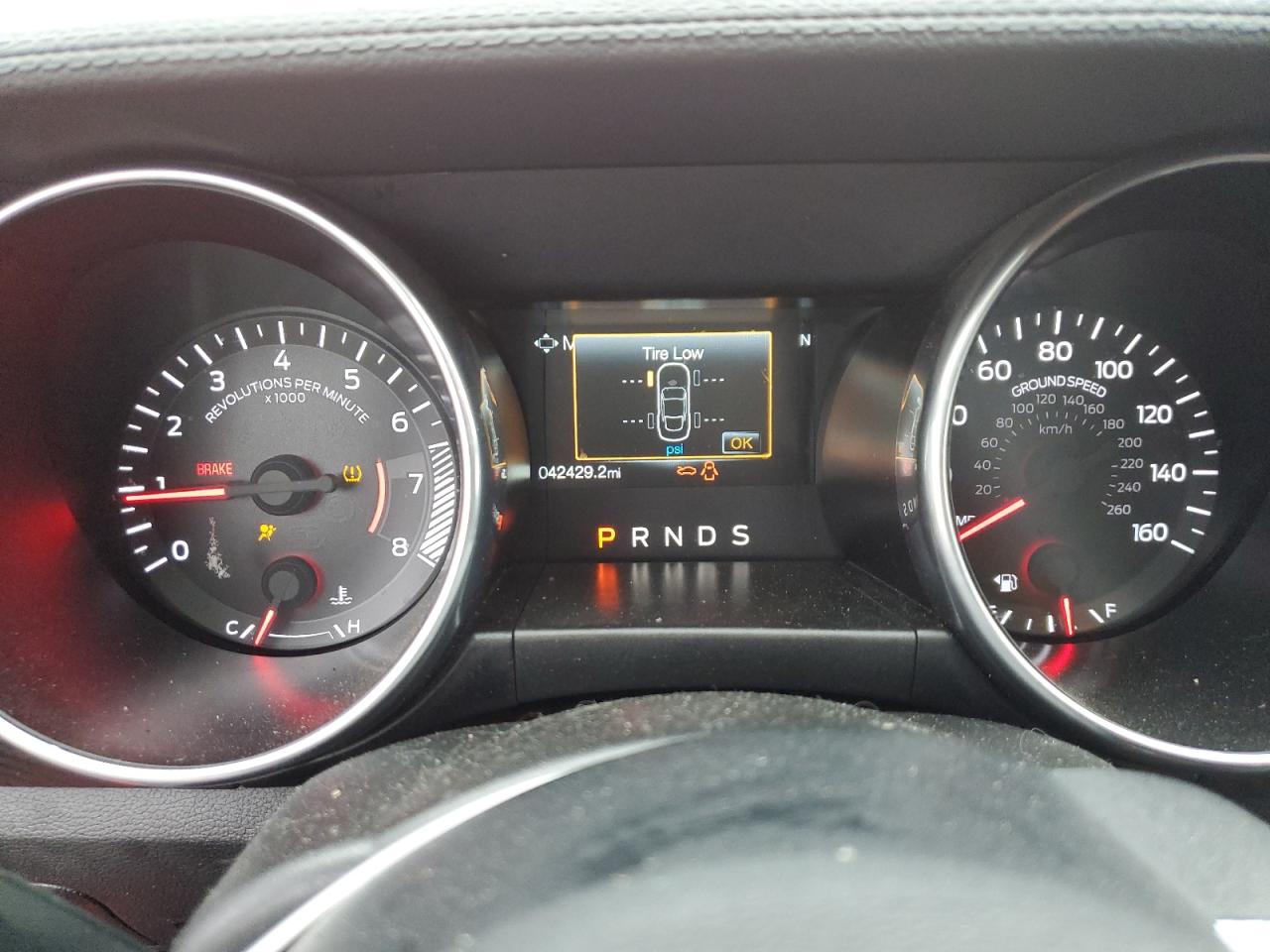 1FA6P8THXK5111480 FORD ALL Models 2019