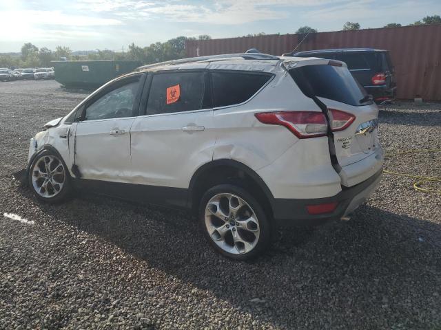 1FMCU0J92EUB14561 | 2014 Ford escape titanium