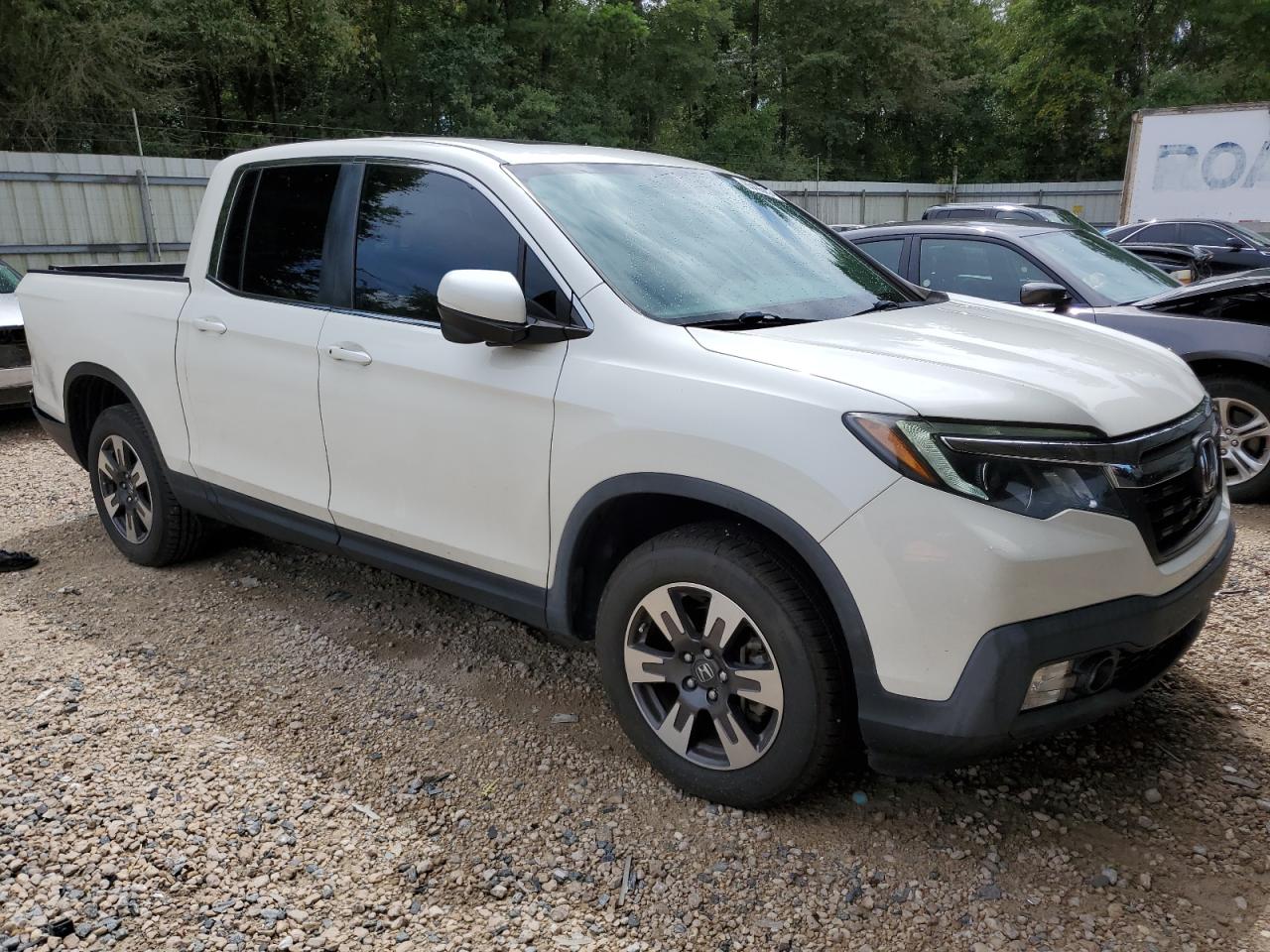 5FPYK3F61KB033269 HONDA RIDGELINE 2019