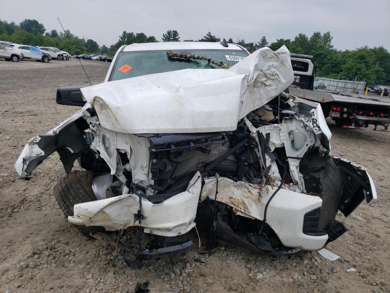 3GCUYEED2LG126699 CHEVROLET ALL Models 2020