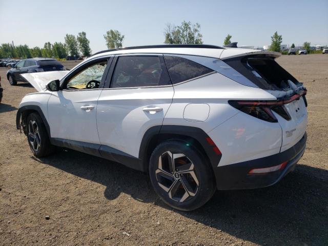2022 HYUNDAI TUCSON LUX - KM8JCCA15NU082761