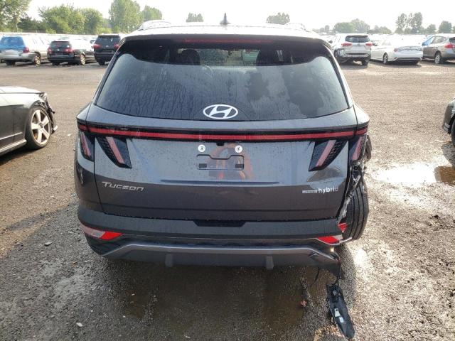 2023 HYUNDAI TUCSON LUX - KM8JCCA17PU124902