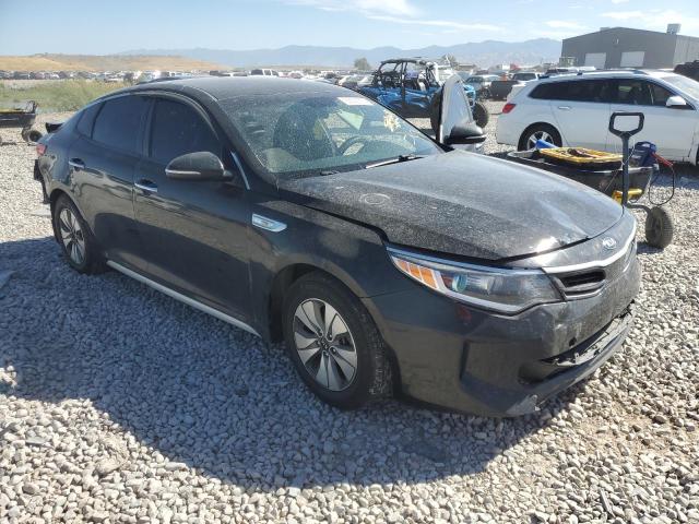 KNAGT4LC5H5005175 KIA OPTIMA HYBRID