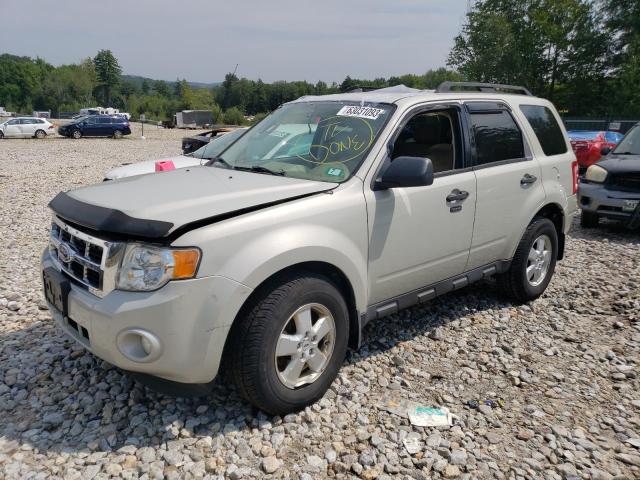 2009 Ford Escape XLT