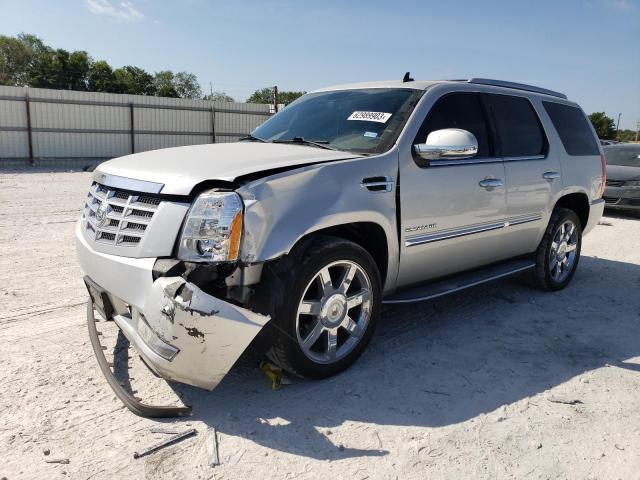 2010 Cadillac Escalade Luxury