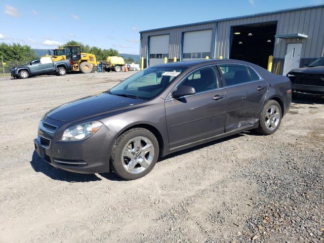 2010 Chevrolet Malibu 