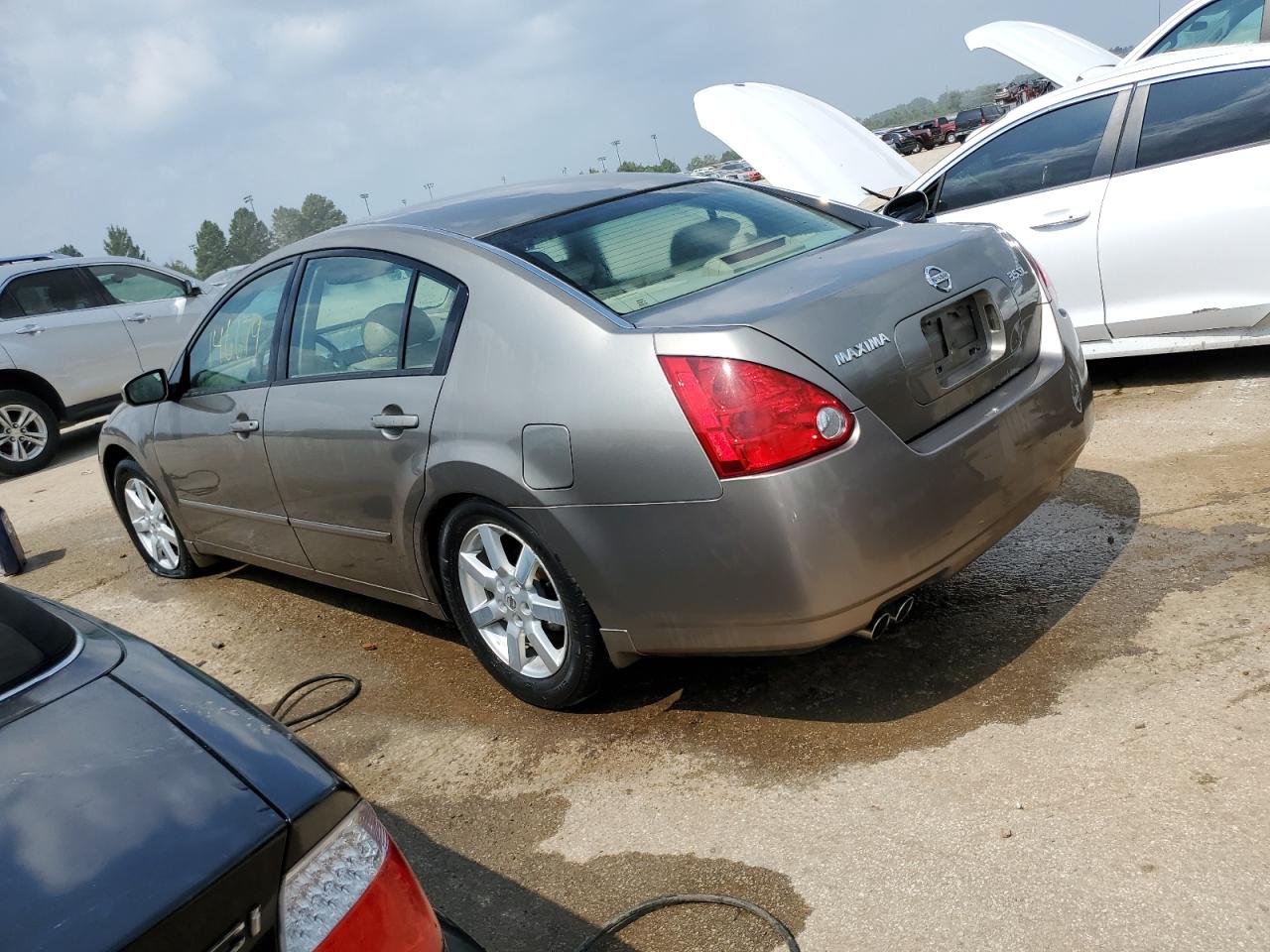 1N4BA41E85C827957 2005 Nissan Maxima Se