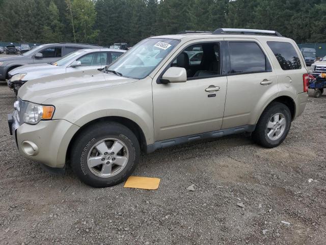 2010 Ford Escape Limited