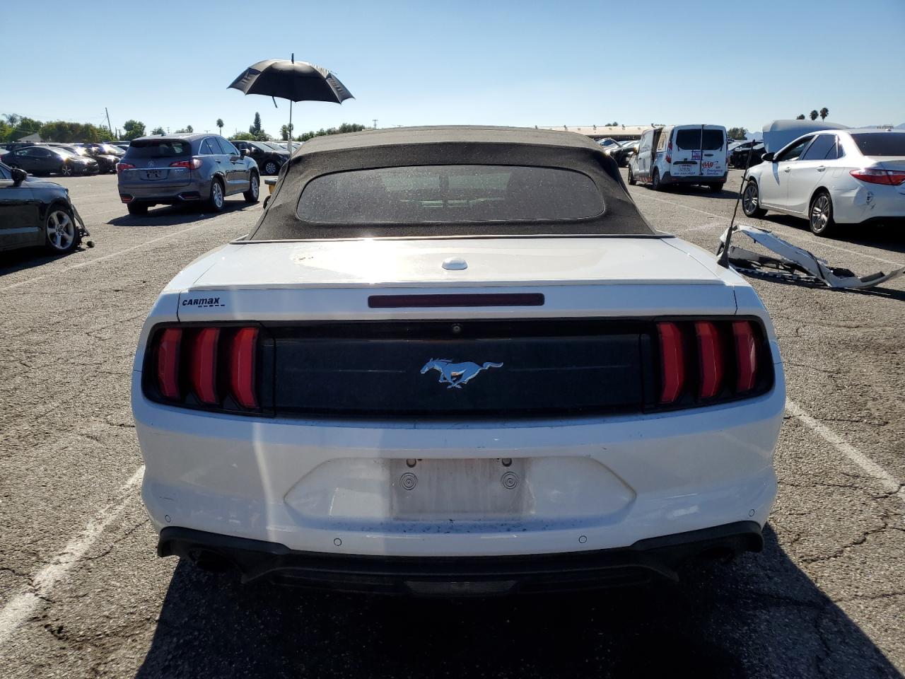 1FATP8UH8K5115612 FORD ALL Models 2019