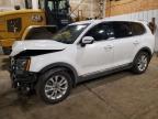 2020 KIA TELLURIDE - 5XYP2DHCXLG087919