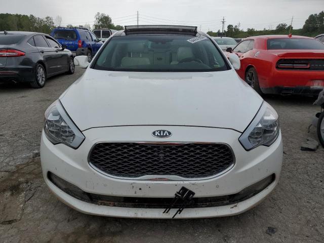 2015 Kia K900 VIN: KNALW4D4XF6017990 Lot: 64484303