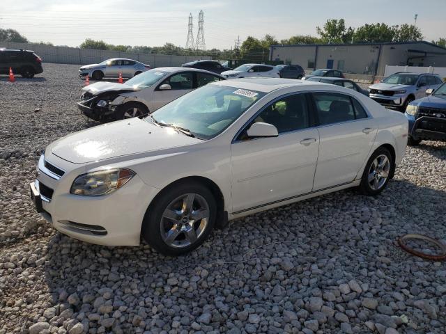 Lot #2417182656 2010 CHEVROLET MALIBU 1LT salvage car