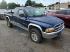 Lot #3028420233 2001 DODGE DAKOTA