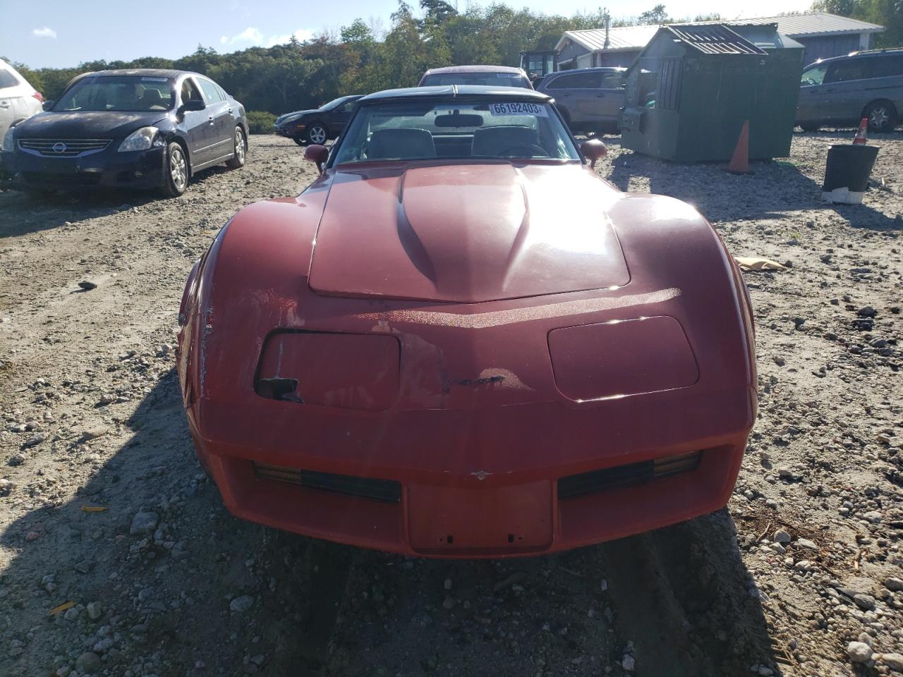 Lot #2806821037 1981 CHEVROLET CORVETTE