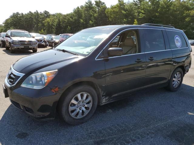 2008 Honda Odyssey EX-L