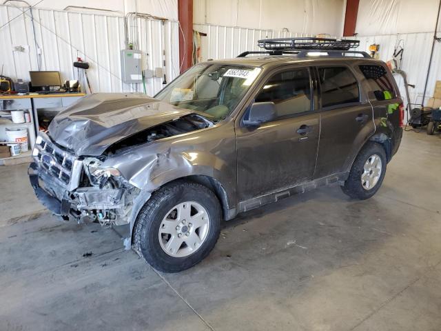 2009 Ford Escape XLT