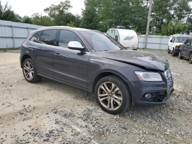 WA1CGAFP1EA023480 2014 AUDI SQ5, photo no. 4