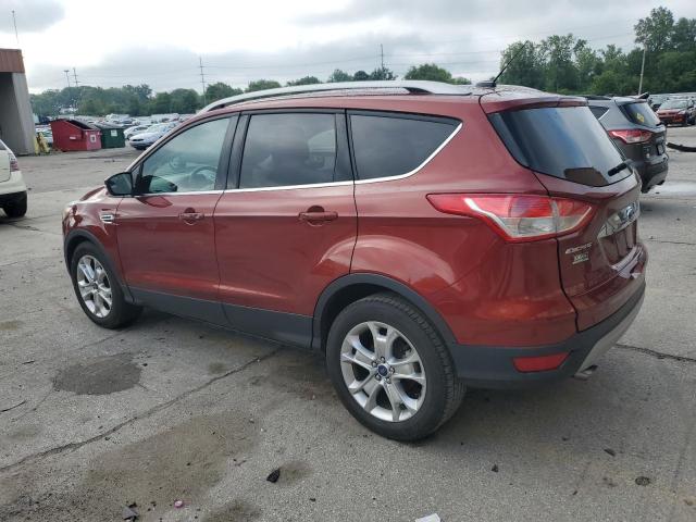 1FMCU0JX9GUC23407 2016 FORD ESCAPE, photo no. 2