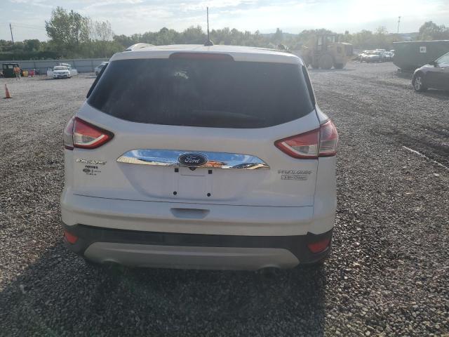 1FMCU0J92EUB14561 | 2014 Ford escape titanium