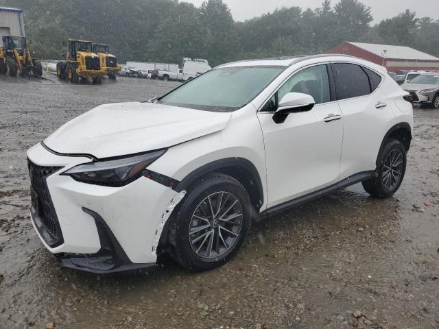 2022 Lexus NX 