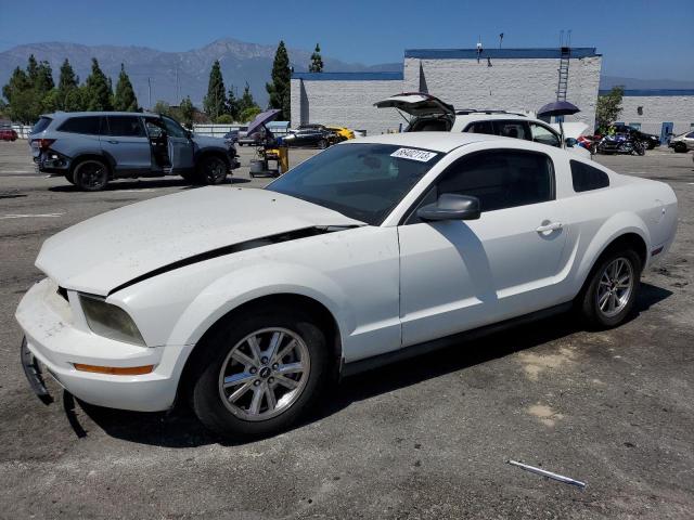 2006 Ford Mustang 