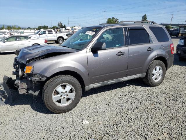 2009 Ford Escape XLT