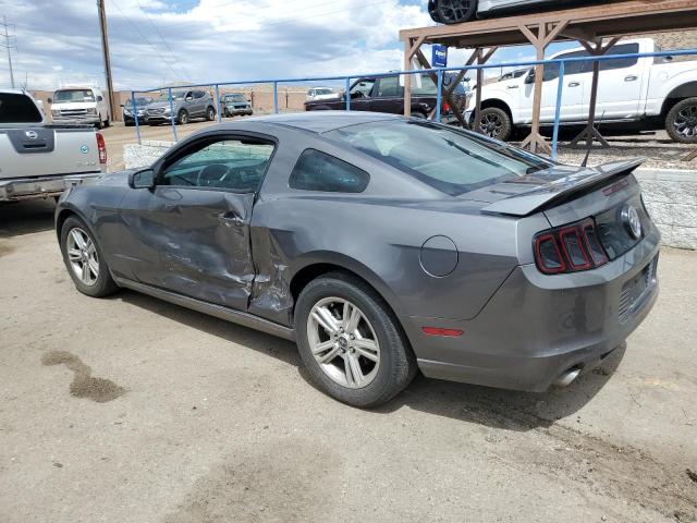 1ZVBP8AM2E5321243 | 2014 FORD MUSTANG