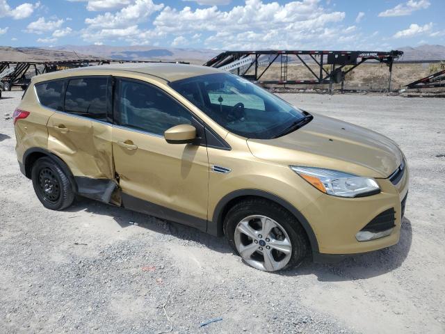 1FMCU0GX6EUC21313 Ford ESCAPE SE