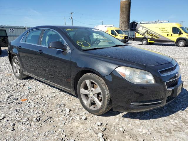 Vin: 1g1zc5e15bf196880, lot: 63903463, chevrolet malibu 1lt 20114