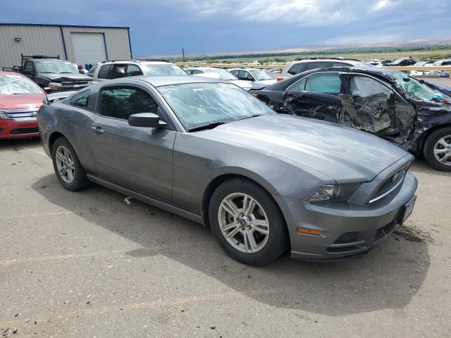 1ZVBP8AM2E5321243 | 2014 FORD MUSTANG