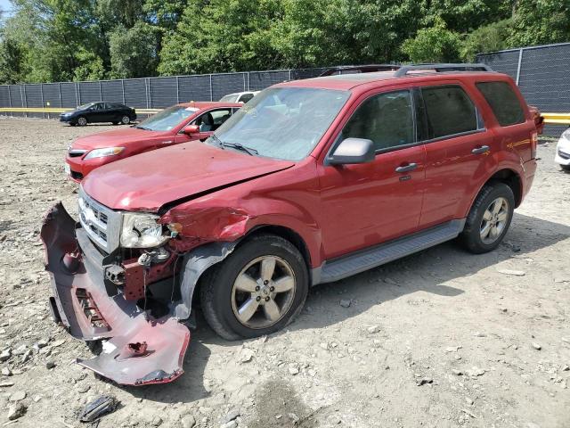 2010 Ford Escape XLT