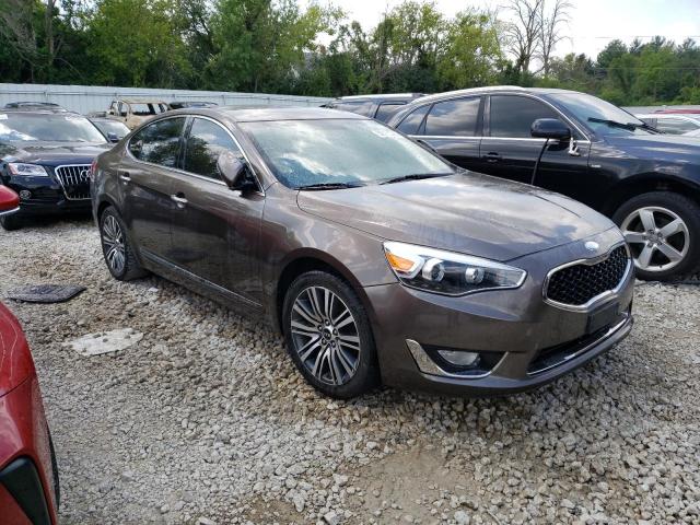 2014 Kia Cadenza Premium VIN: KNALN4D76E5119630 Lot: 62571343