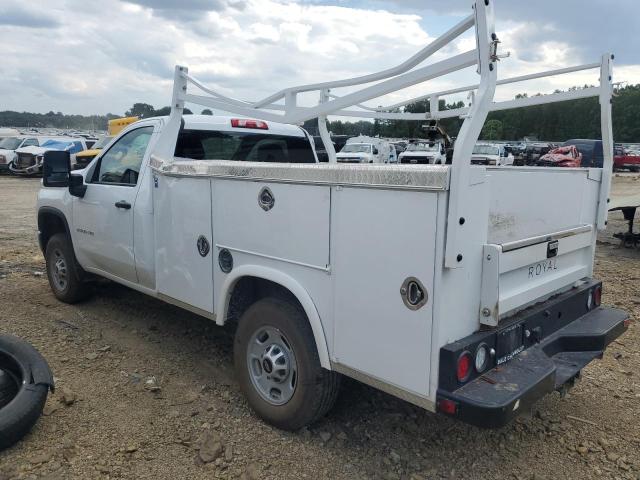 2020 CHEVROLET SILVERADO - 1GB3YLE76LF231634