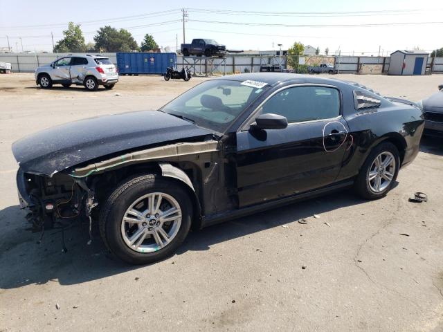 2013 Ford Mustang 