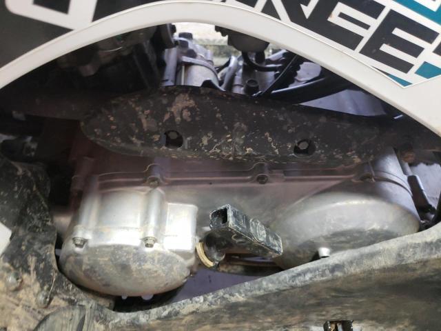 2023 KAWASAKI KVF300 C - RGSWM22A1PBK31154