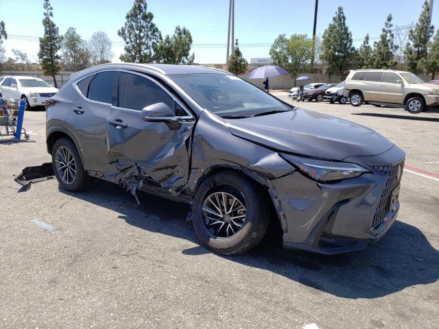 2024 LEXUS NX 250 BAS JTJADCAZ6R5013632