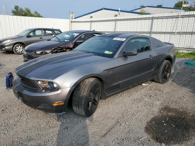 2010 Ford Mustang 