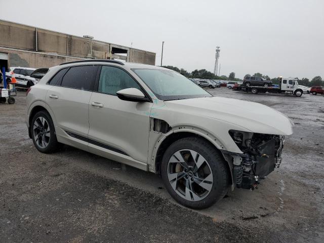 2022 AUDI E-TRON PRE - WA1AAAGE2NB014223