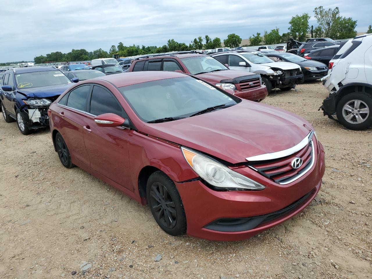 Lot #2090997474 2014 HYUNDAI SONATA GLS