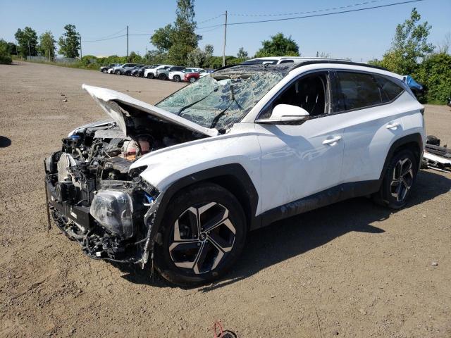 2022 HYUNDAI TUCSON LUX - KM8JCCA15NU082761
