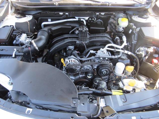 4S4BTACC3P3166044 Subaru Outback Premium