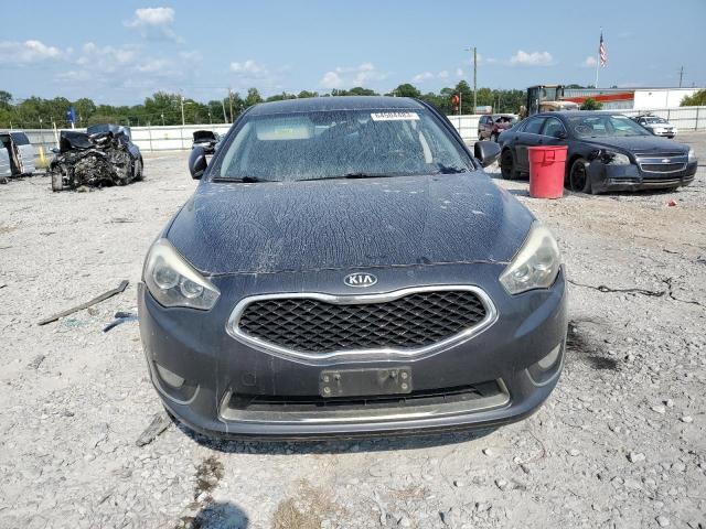 2015 Kia Cadenza Premium VIN: KNALN4D77F5195357 Lot: 64504483